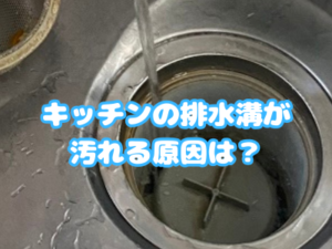 キッチンの排水溝が汚れる原因